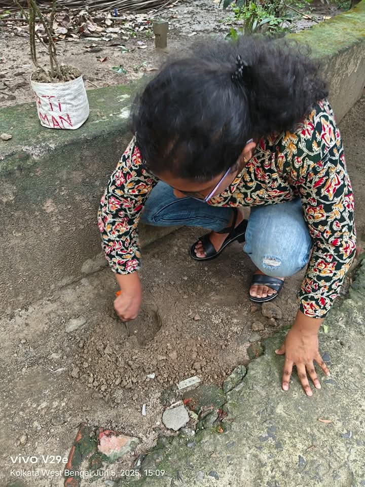 Local Committee Program
